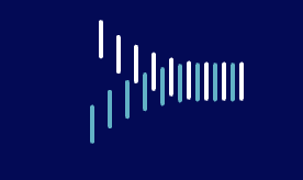 BT Hizmetleri ve BT Danışmanlığı